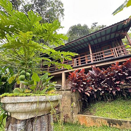 Sang Tirta Resort Penebel Exterior photo